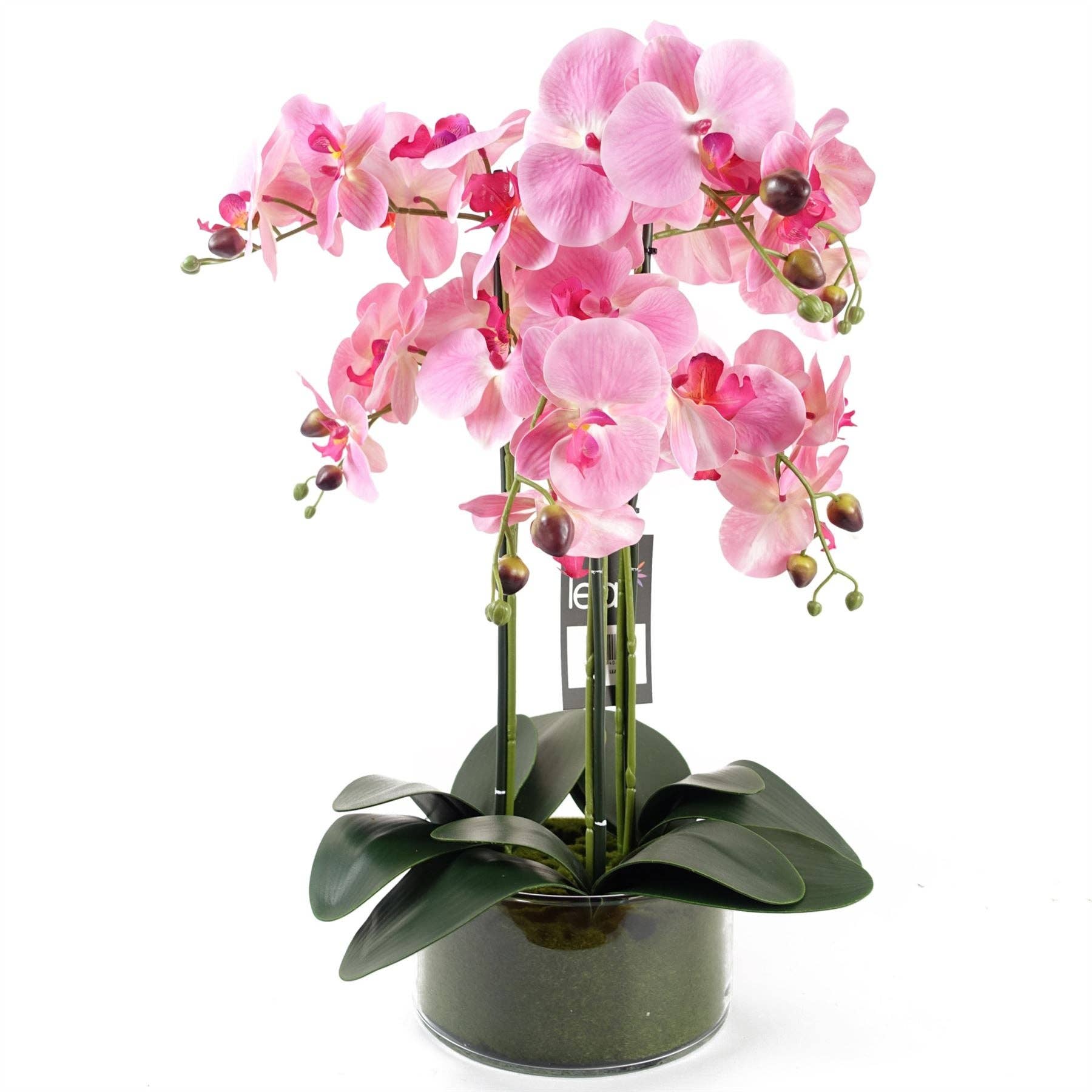 Homeware